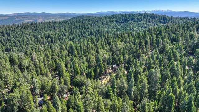 3644 Gold Ridge Trl, Pollock Pines, CA 95726