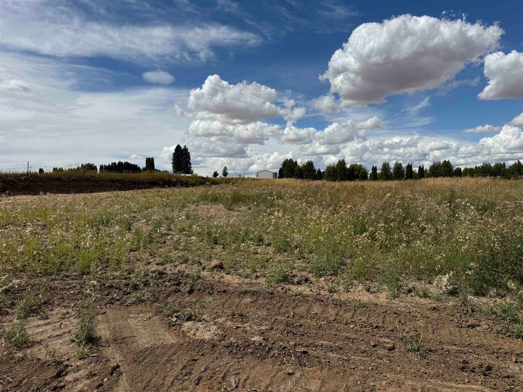 600 E Davisadero St, Reardan, WA 99029 photo 5