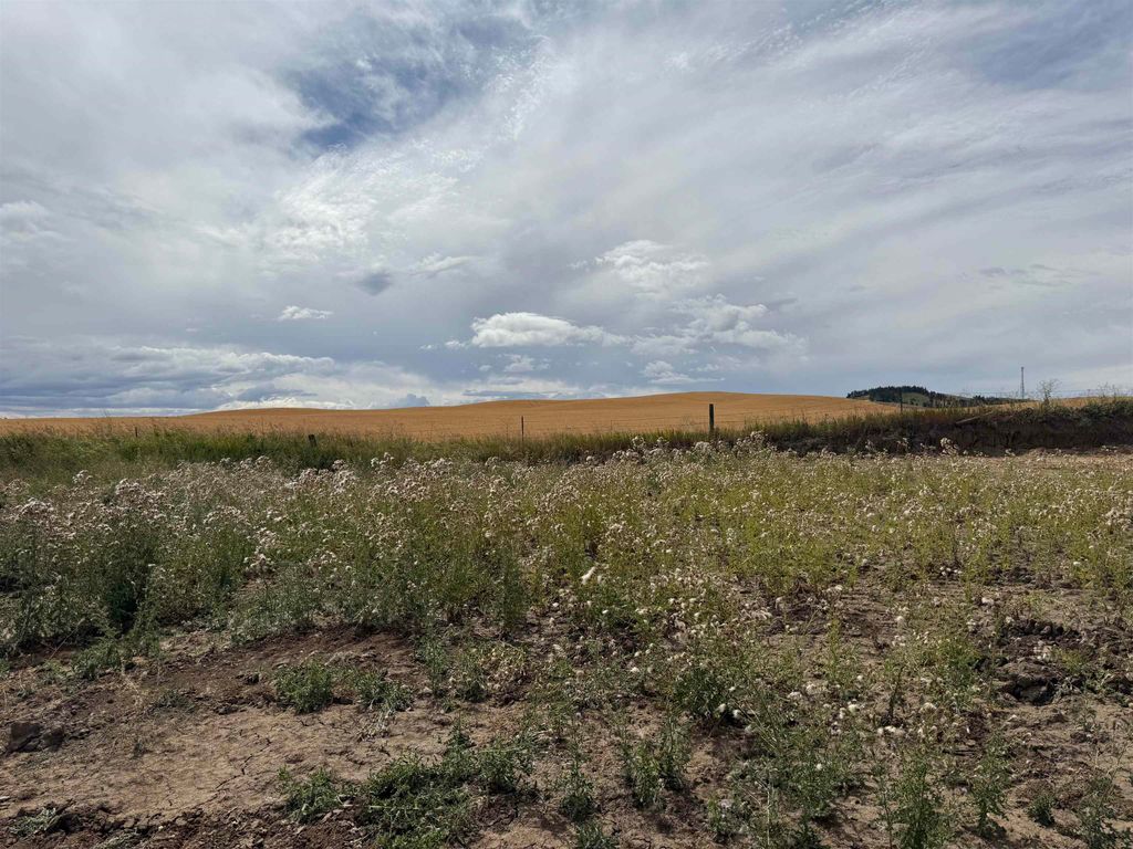 600 E Davisadero St, Reardan, WA 99029 photo 8