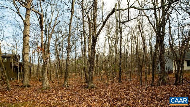 105 DEN TREE LN, Wintergreen Resort, VA 22967