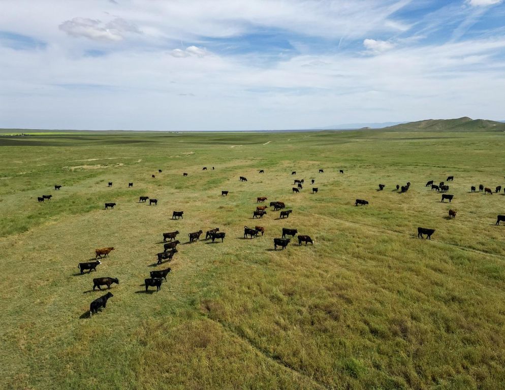 Image 1 of property listing at 0 Barker Road, Lost Hills, CA 93249