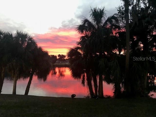 3614 NIXON ROAD, Holiday, FL 34691