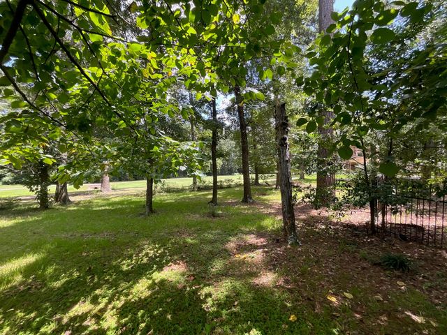 119 Sun City Lane, Conroe, TX 77304