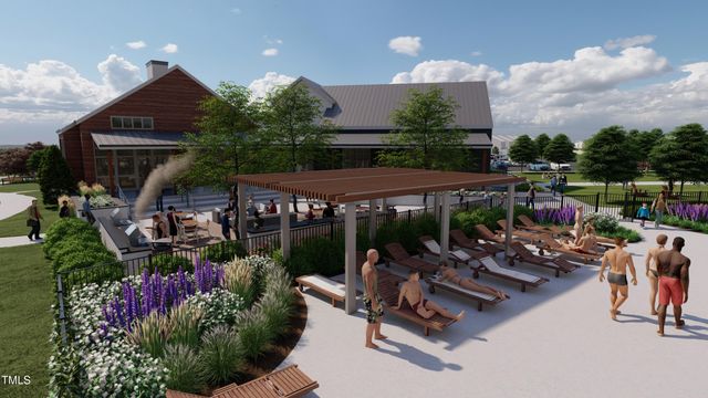 1100 Solace Way, Rolesville, NC 27571