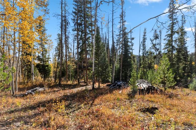 5364 Meadow Creek Rd, Tabernash, CO 80478