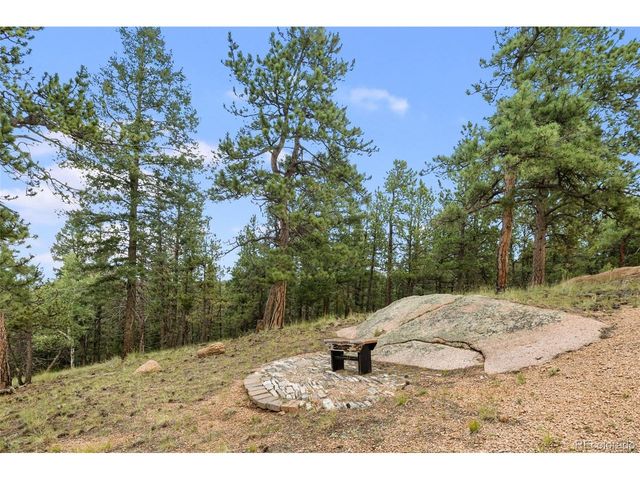 127 Carlton Cir, Florissant, CO 80816