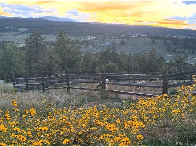 127 Carlton Cir, Florissant, CO 80816