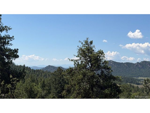 127 Carlton Cir, Florissant, CO 80816