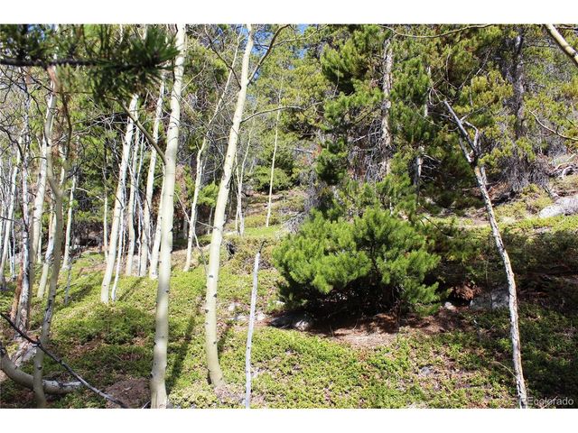 4 Lamertine Rd, Idaho Springs, CO 80452