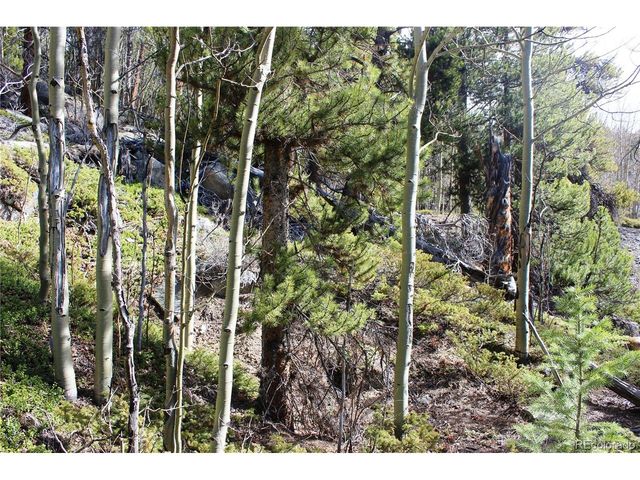 4 Lamertine Rd, Idaho Springs, CO 80452