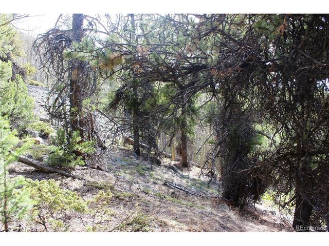 4 Lamertine Rd, Idaho Springs, CO 80452