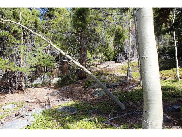 4 Lamertine Rd, Idaho Springs, CO 80452