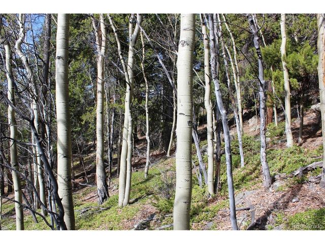 4 Lamertine Rd, Idaho Springs, CO 80452
