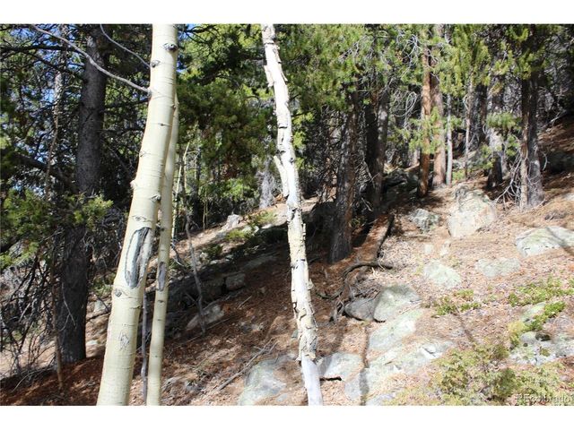 4 Lamertine Rd, Idaho Springs, CO 80452