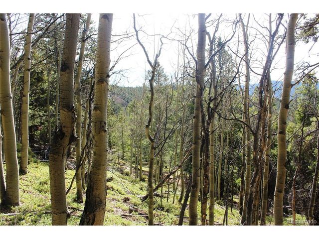 4 Lamertine Rd, Idaho Springs, CO 80452