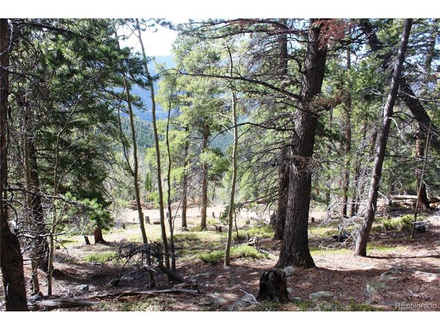 4 Lamertine Rd, Idaho Springs, CO 80452