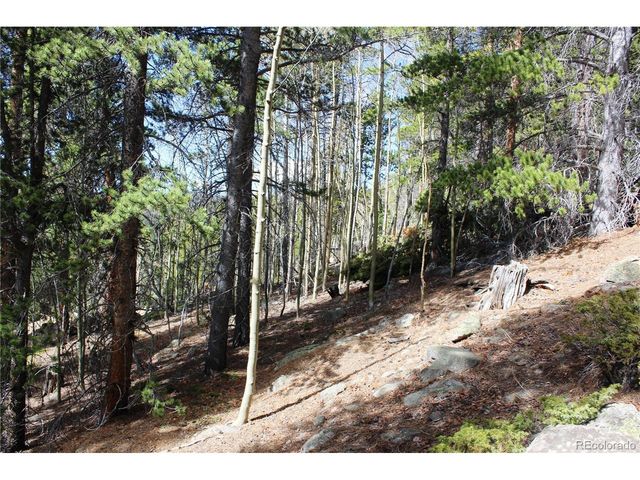 4 Lamertine Rd, Idaho Springs, CO 80452