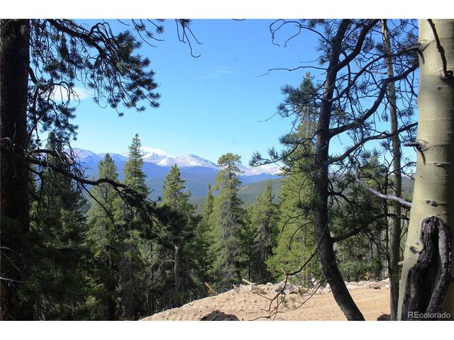 4 Lamertine Rd, Idaho Springs, CO 80452