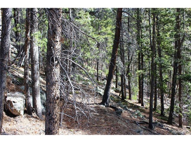 4 Lamertine Rd, Idaho Springs, CO 80452