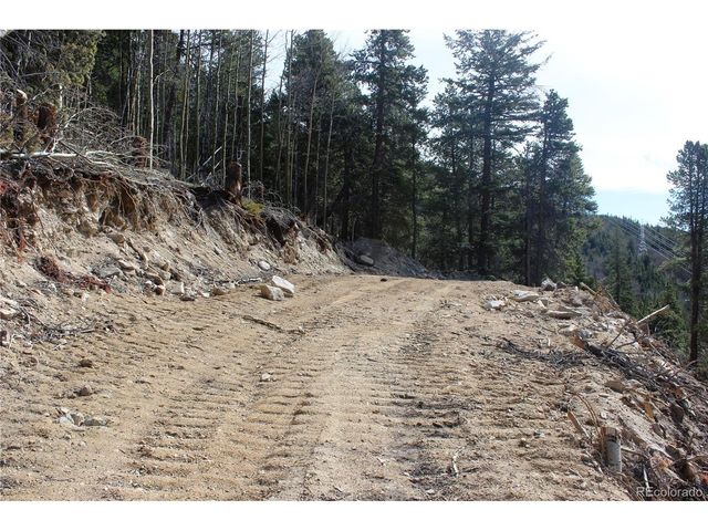 4 Lamertine Rd, Idaho Springs, CO 80452
