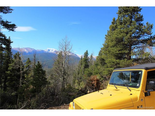 4 Lamertine Rd, Idaho Springs, CO 80452