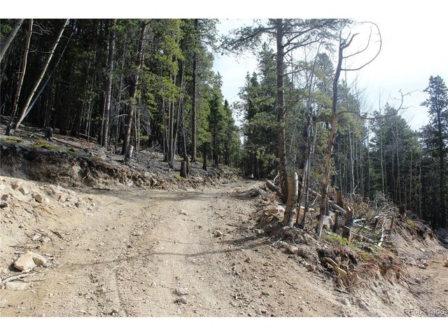 4 Lamertine Rd, Idaho Springs, CO 80452