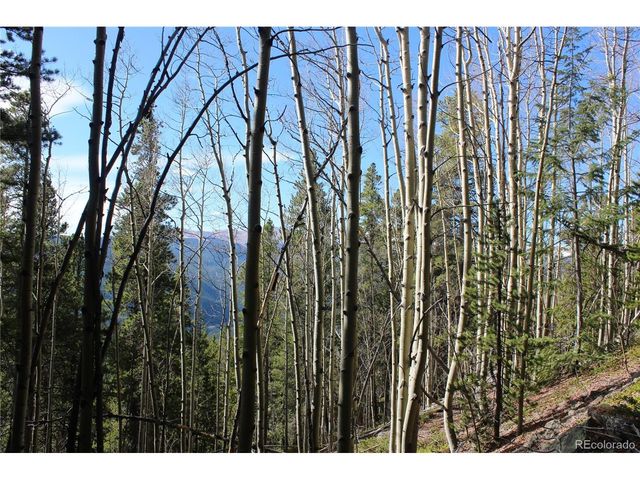 4 Lamertine Rd, Idaho Springs, CO 80452