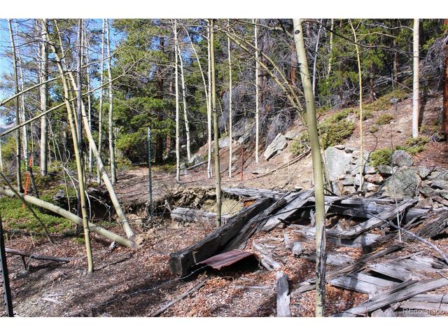 4 Lamertine Rd, Idaho Springs, CO 80452