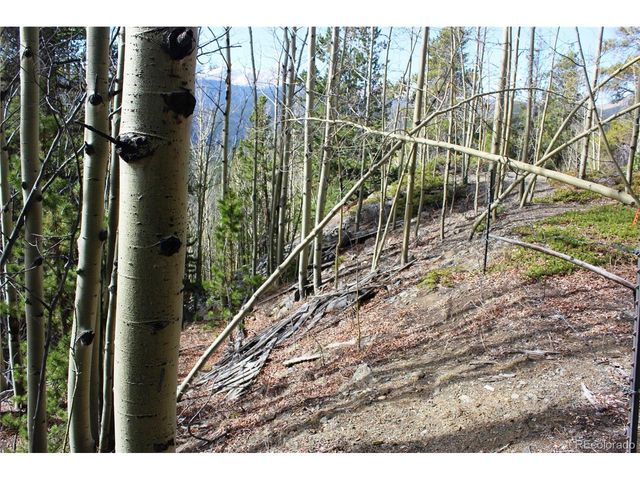 4 Lamertine Rd, Idaho Springs, CO 80452