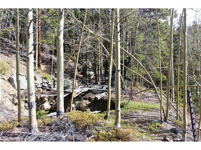 4 Lamertine Rd, Idaho Springs, CO 80452