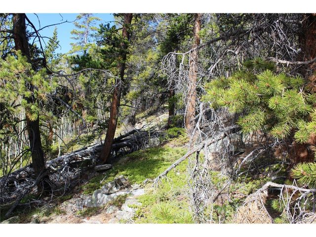 4 Lamertine Rd, Idaho Springs, CO 80452