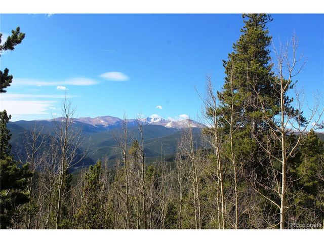 4 Lamertine Rd, Idaho Springs, CO 80452