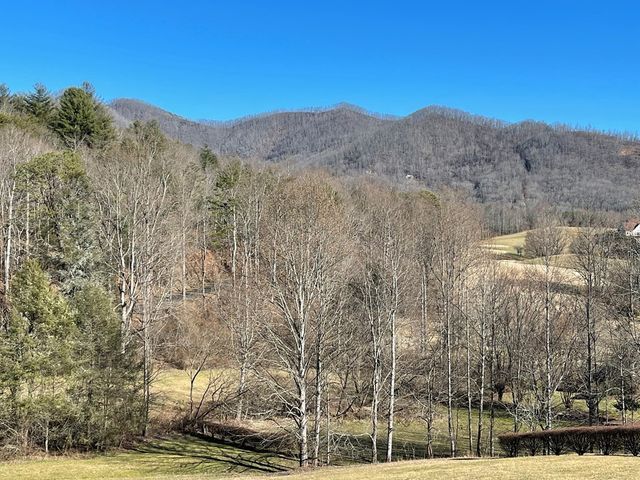 Lot 21C Ash Branch Circle, Hayesville, NC 28904
