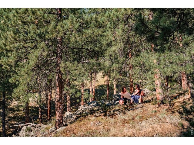 695 Cutter Ln, Boulder, CO 80302