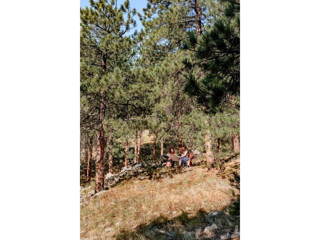 695 Cutter Ln, Boulder, CO 80302