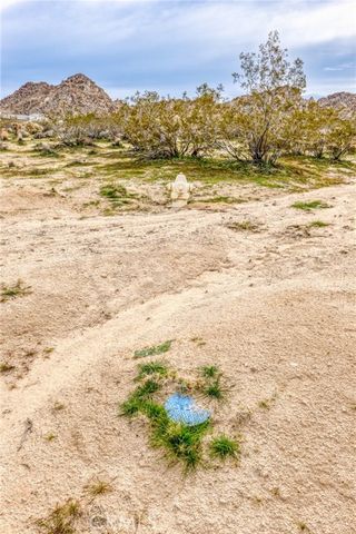 130 Hollinger, Joshua Tree, CA 92252