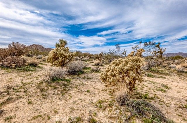 130 Hollinger, Joshua Tree, CA 92252