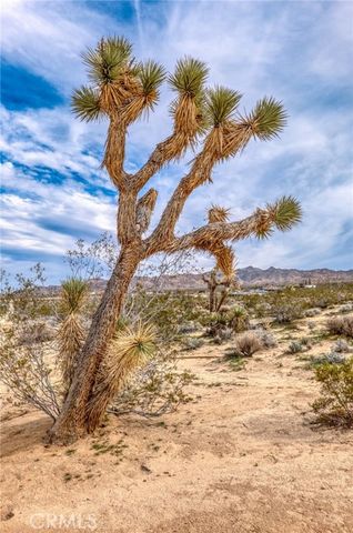 130 Hollinger, Joshua Tree, CA 92252