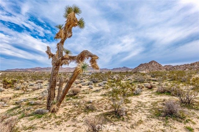 130 Hollinger, Joshua Tree, CA 92252