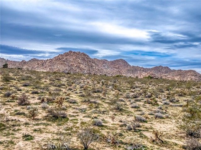 130 Hollinger, Joshua Tree, CA 92252
