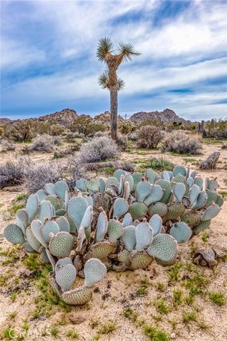 130 Hollinger, Joshua Tree, CA 92252