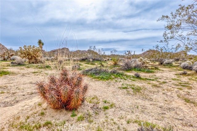 130 Hollinger, Joshua Tree, CA 92252