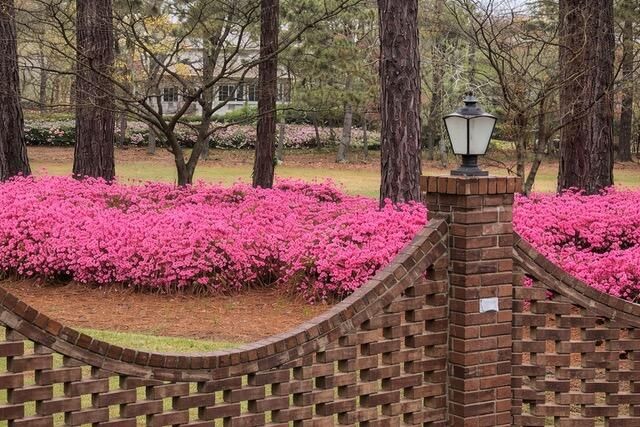 913 Holley Lake Road, Aiken, SC 29803