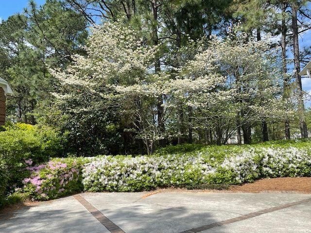 913 Holley Lake Road, Aiken, SC 29803