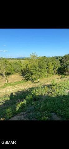 2644 East Flat Creek Boulevard, Sevierville, TN 37876
