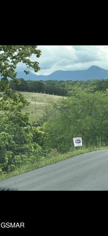 2644 East Flat Creek Boulevard, Sevierville, TN 37876
