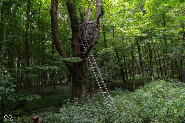 444 N Dry Run Road, Veedersburg, IN 47987