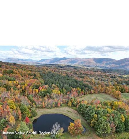 152 Bruce Cross Road, Prattsville, NY 12468