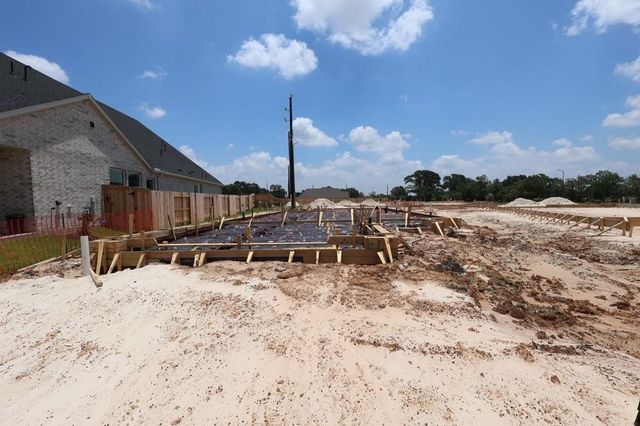 16810 Burr Oak Colony Street, Hockley, TX 77447