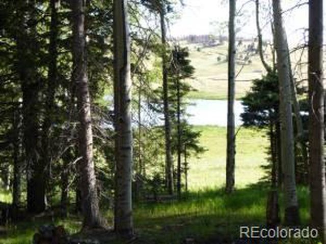 2352 Benton Pl, Fort Garland, CO 81133